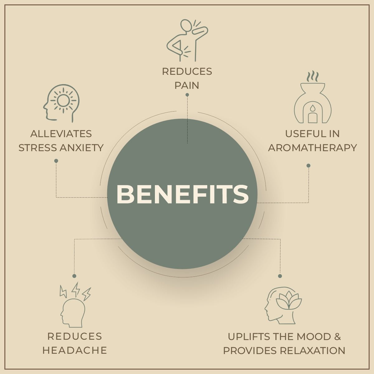 Salvia Natural Essential Oils Calamus Essential Oil Salvia Natural Essential Oils Calamus Essential Oil